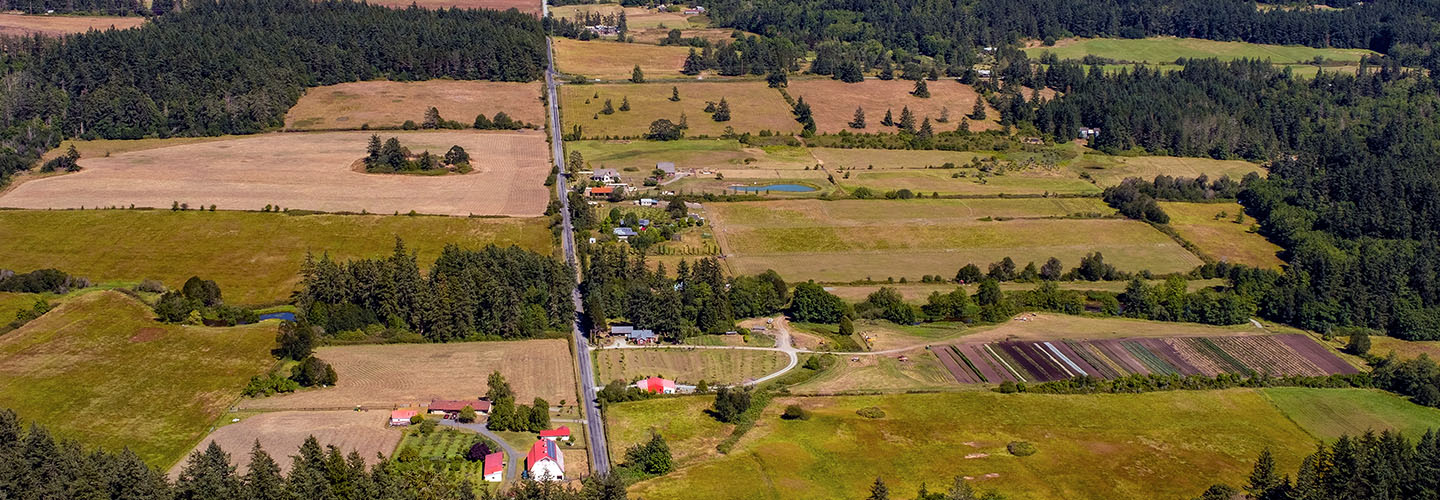 sky view of crop fields