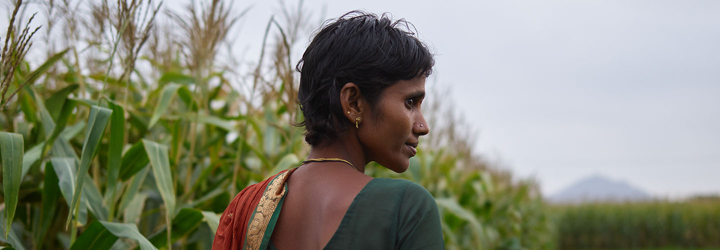 woman farmer walking beside corn crop field